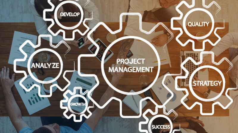 greeNature: Projektmanagement greeNature: Projektmanagement